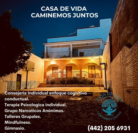 518996760_17873252037389632_6449663652768416627_n